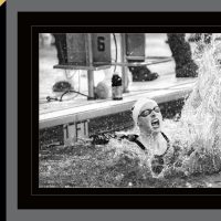 PPA Gold Medal Merit capture of HS Senior Katie Ledecky setting 500yd Freestyle National Record