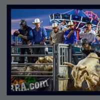 This Image has won many awards in its very short capture lifetime. It traveled across the USA in August and September 2024, and local here in the DMV racking up awards. It was PPA Merited Image in October 2024 and then won GOLD in February 2025 at the International Photo Competition at PPA’s Imaging USA in Dallas TX. Shot at the Montgomery County Agricultural Fair in August 2025. Just Another American Friday Night